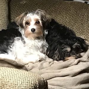 Meet your Posher, Kelley